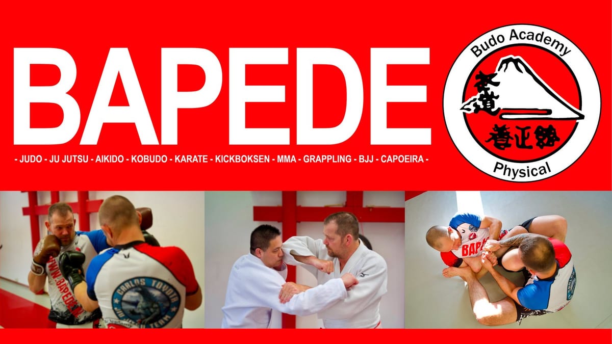 Budo Academy Physical in Ede