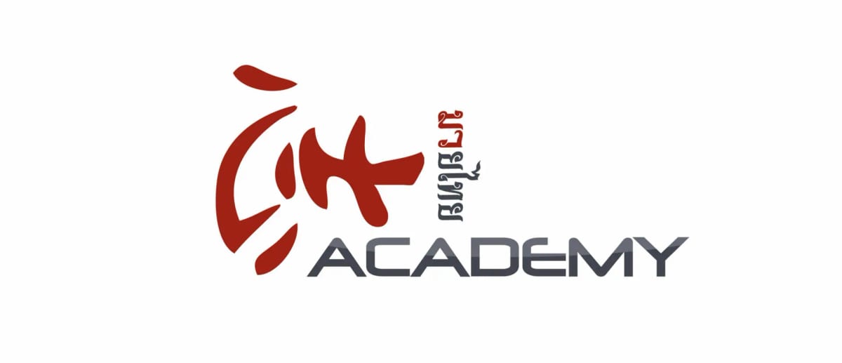 Chi Academy in 's-Hertogenbosch