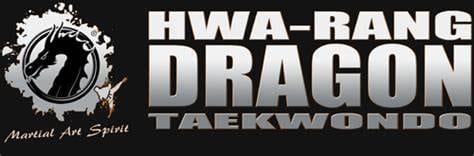 Hwa rang Dragon gym in Haarlem