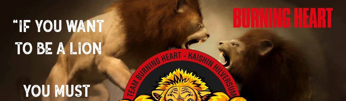 Team burning heart-kaishin in Hilversum